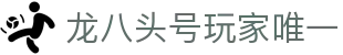 龙八头号玩家唯一